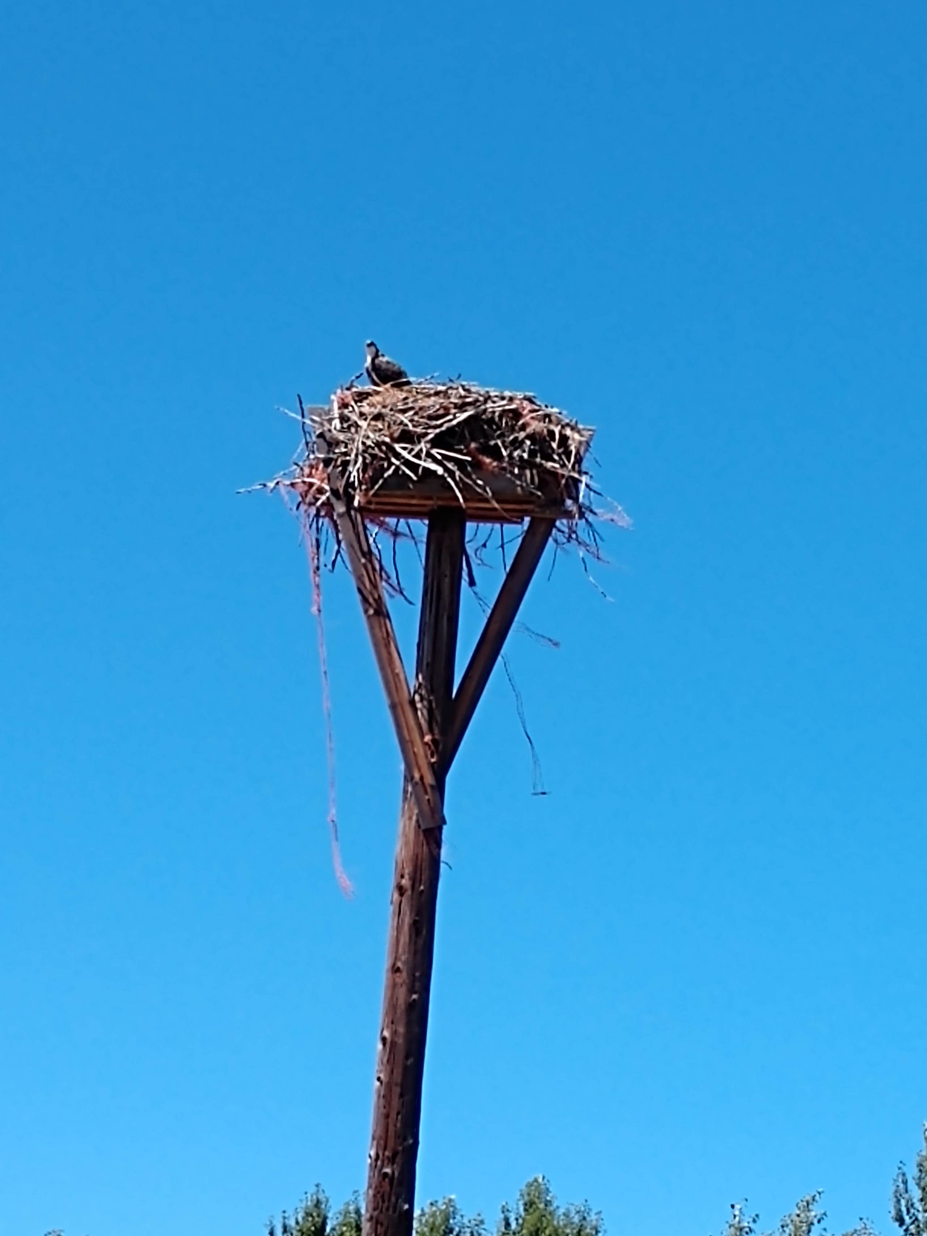 Camper-submitted photo at Clyde Holliday State Recreation Site Campground near Kimberly, OR