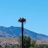 Review photo of Clyde Holliday State Recreation Site by Nancy M., July 28, 2019