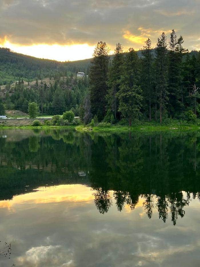 Camper submitted image from Riley Creek Campground - 1