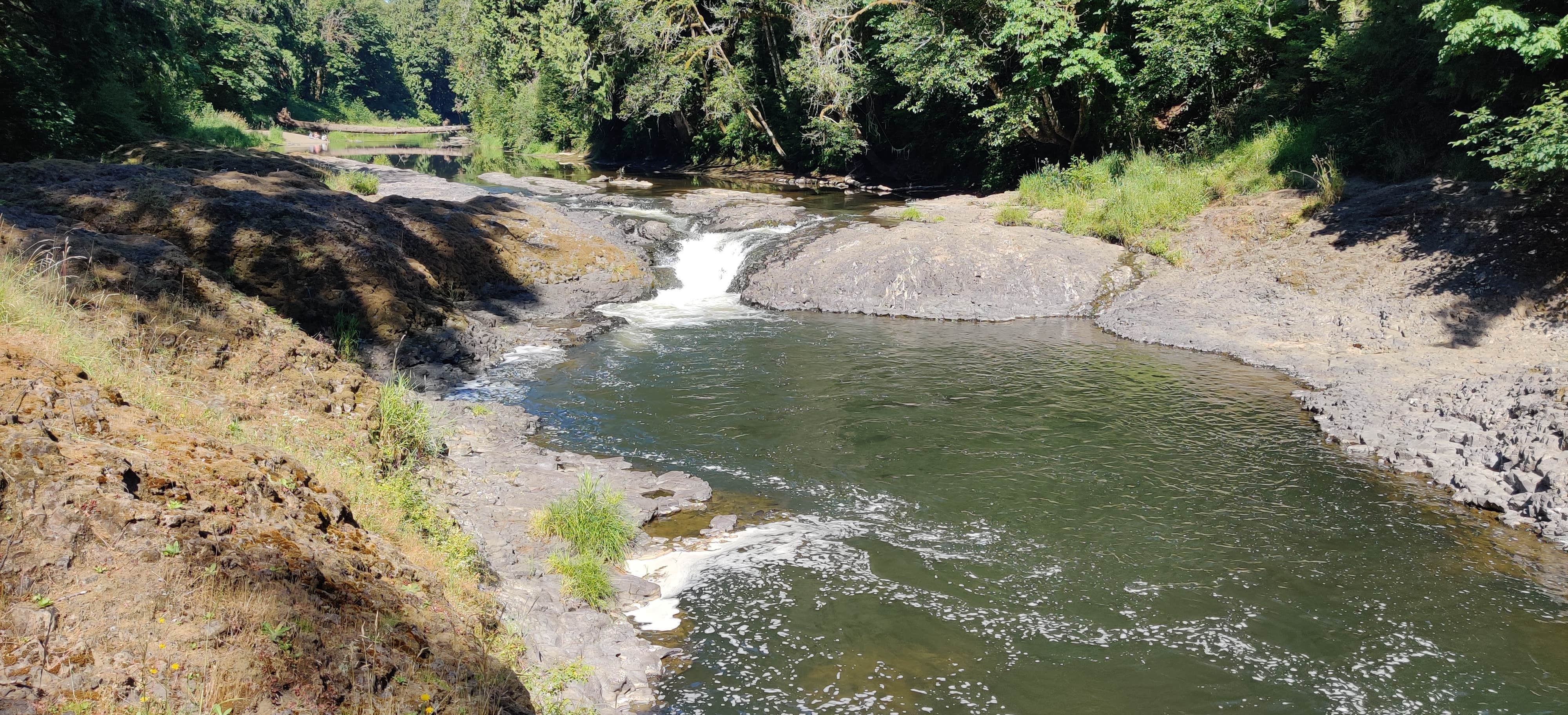 Camper-submitted photo at Rainbow Falls State Park Campground near Rochester, WA