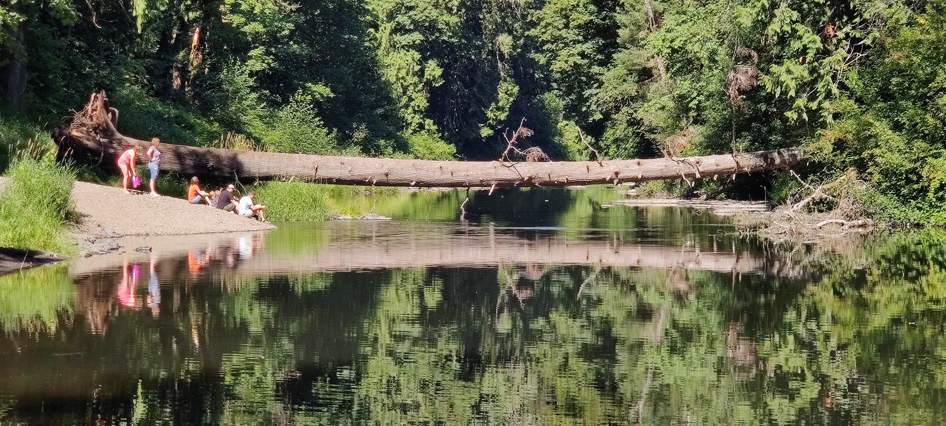 Camper submitted image from Rainbow Falls State Park Campground - 3