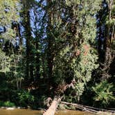 Review photo of Rainbow Falls State Park Campground by Rich M., July 28, 2019