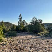 Review photo of Dixie National Park at Panguitch FR1048 by VanRumschpringa V., June 26, 2025