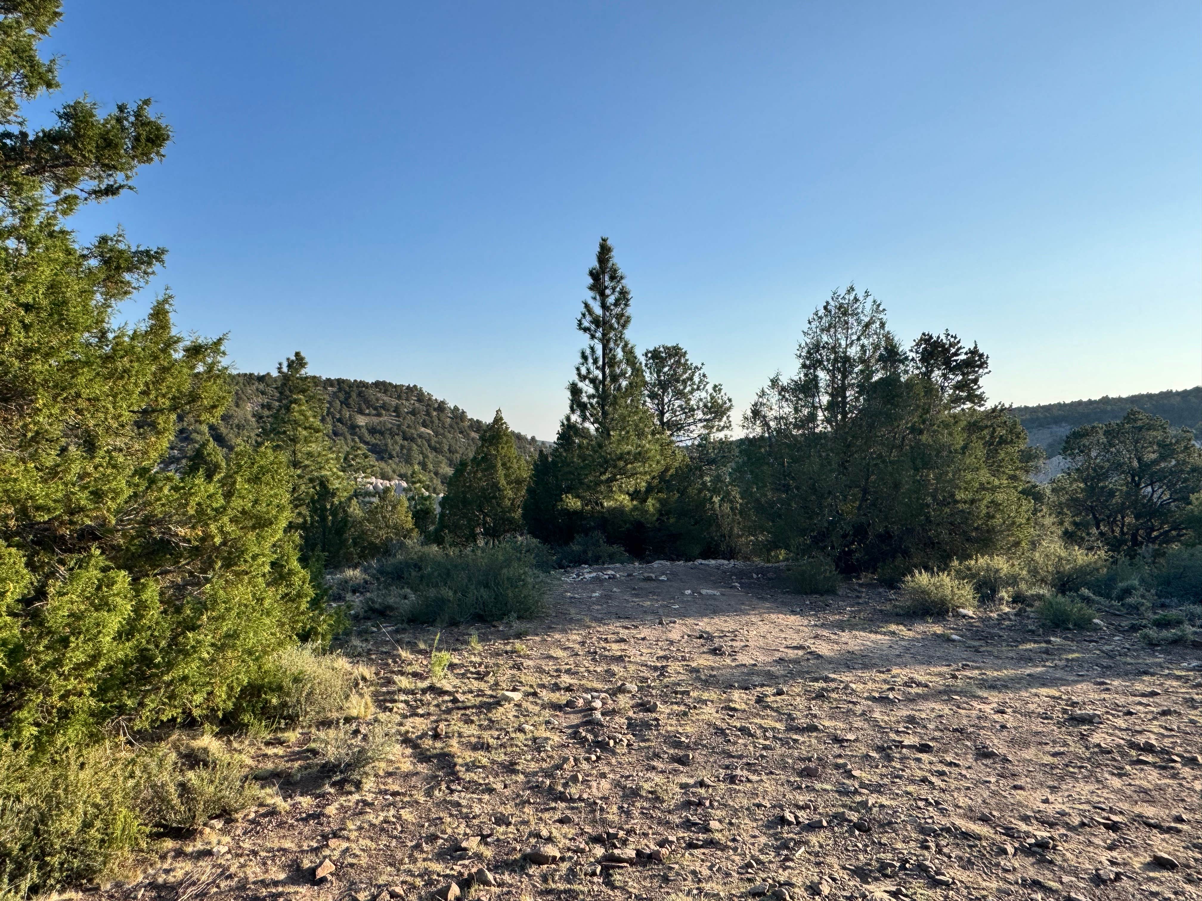 Camper submitted image from Dixie National Park at Panguitch FR1048 - 2