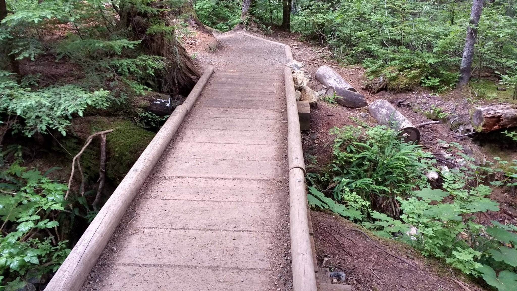 Camper submitted image from Denny Creek Campground - 4