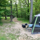 Review photo of West Branch State Park Campground by Scott M., July 29, 2019
