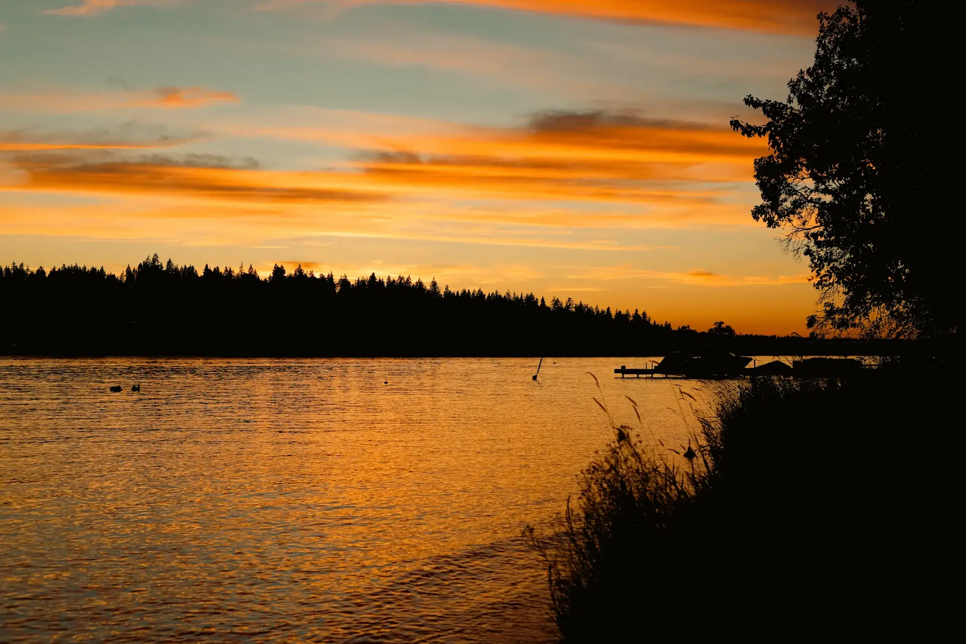 Camper-submitted photo at ELKS Beach near Redmond, WA