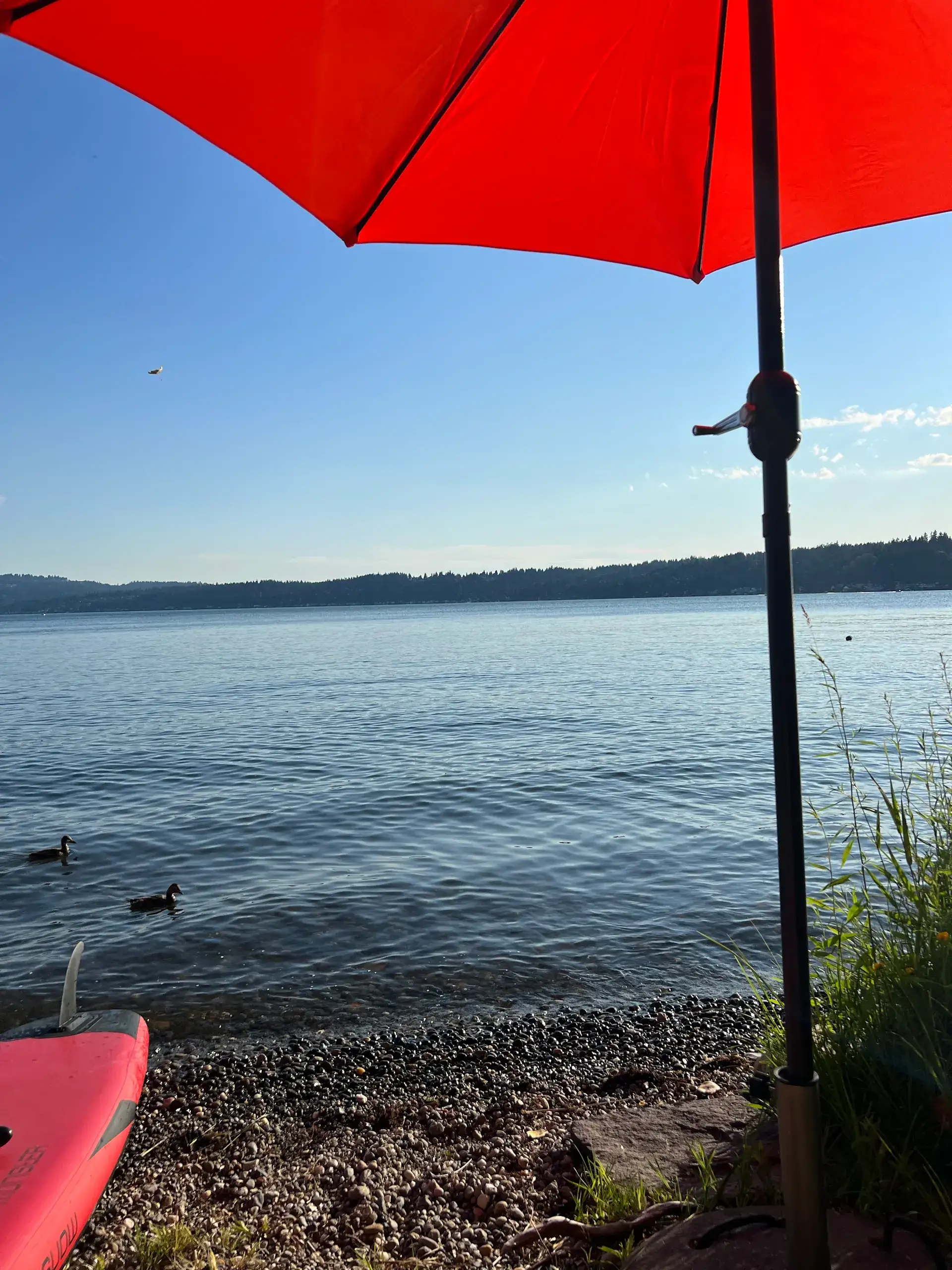 Camper-submitted photo at ELKS Beach near Redmond, WA