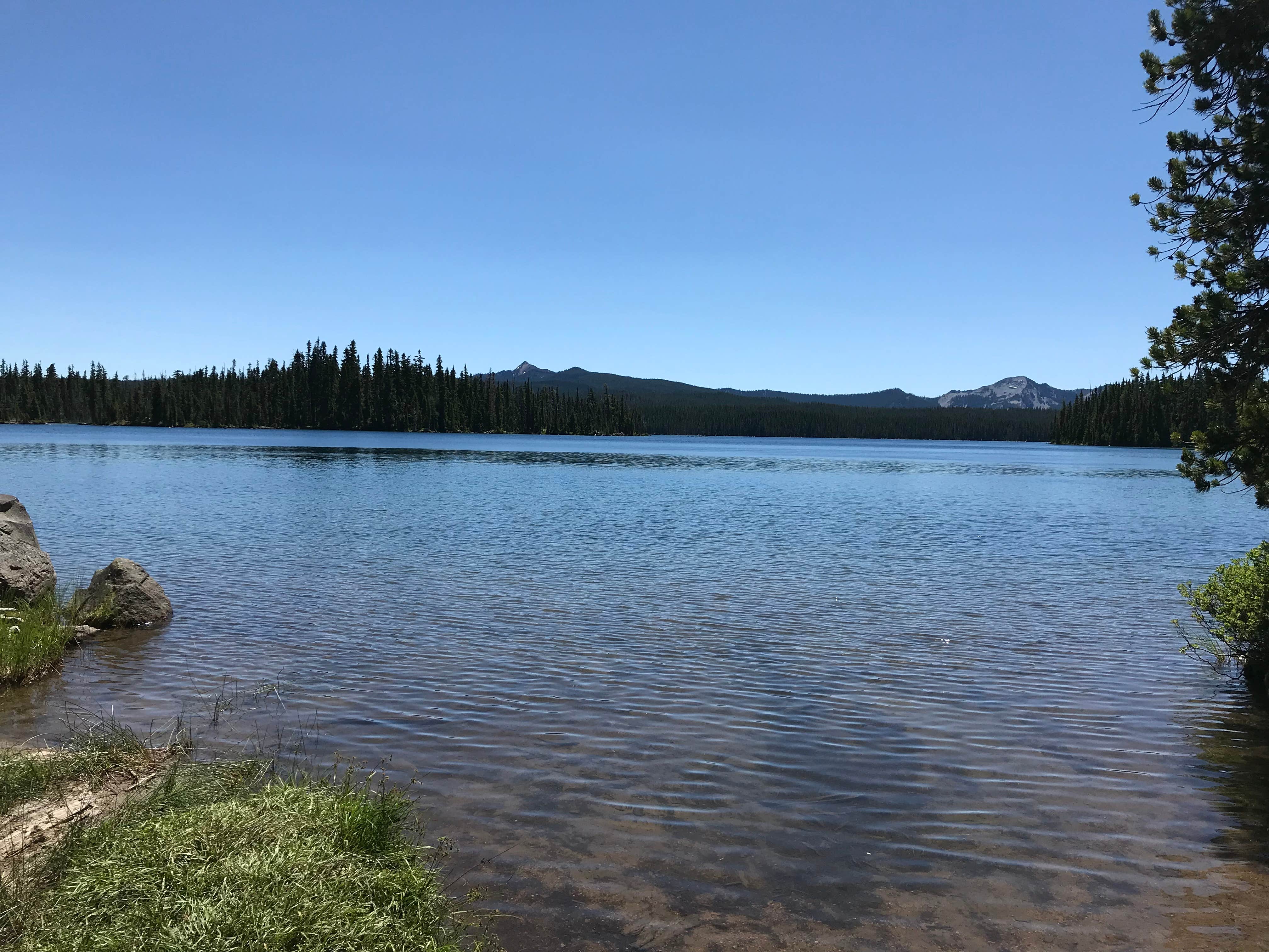Nature