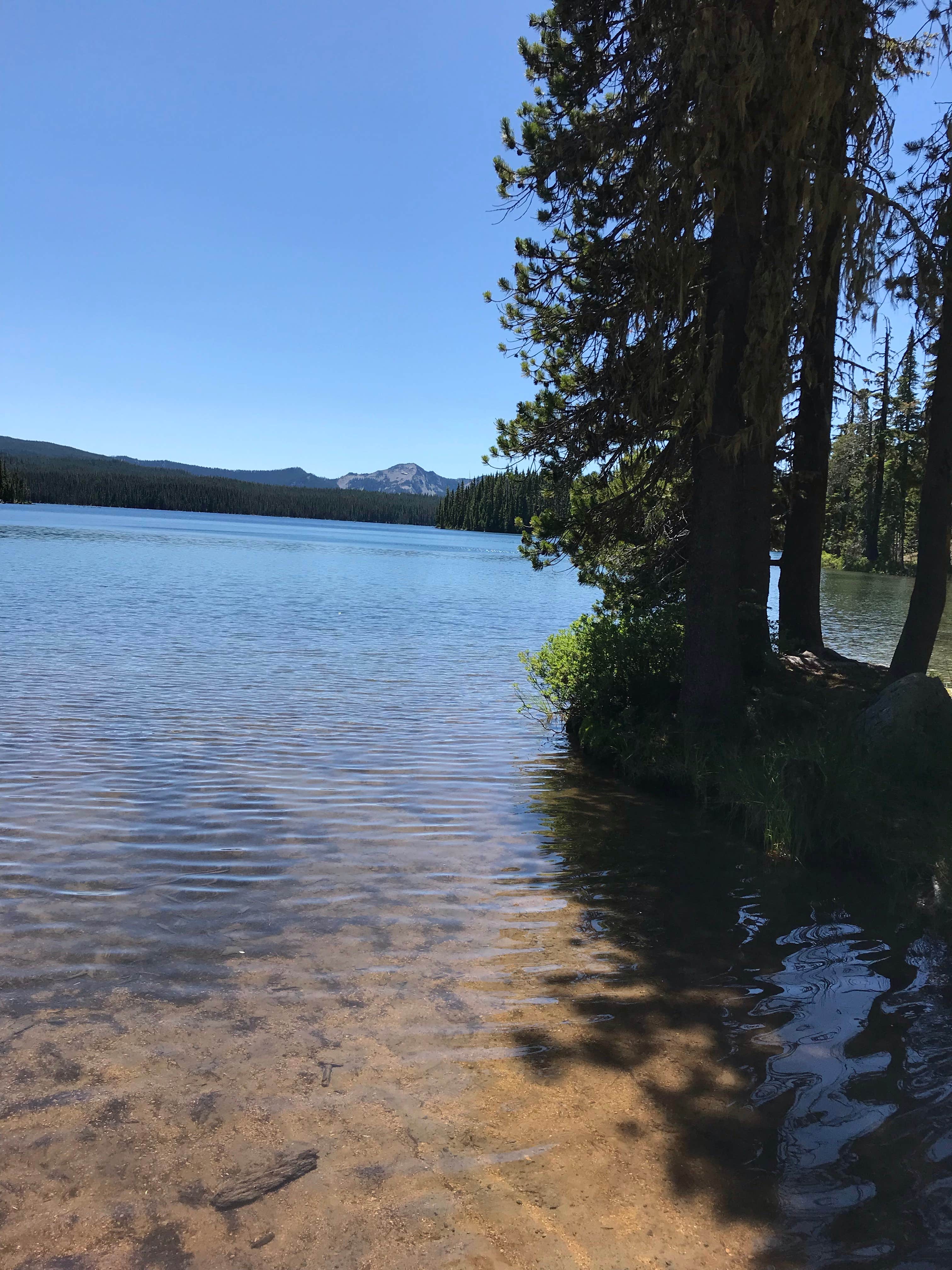 Camping near Olallie Meadow Campground: Summit Lake, Mt. Hood National Forest, Oregon