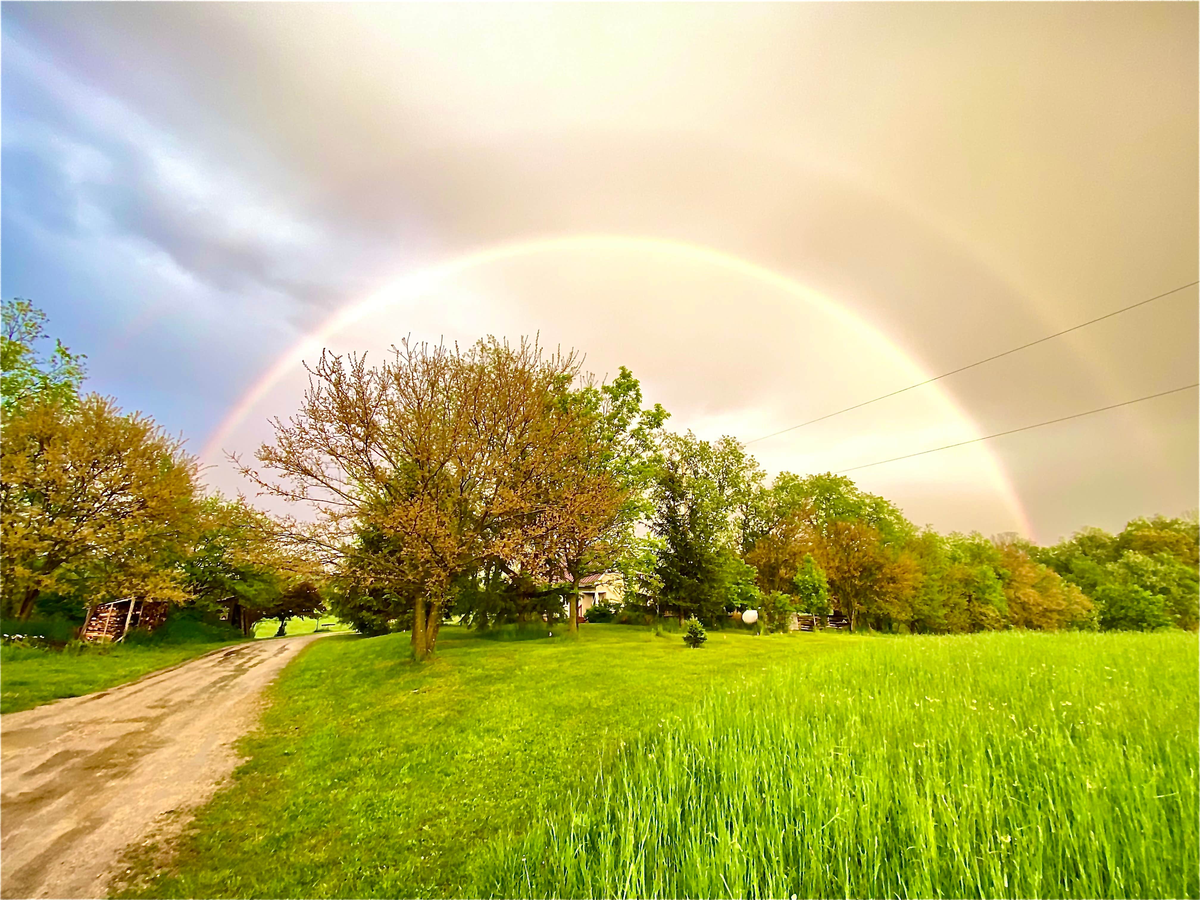 Camping near Juniper Hills Campground: Carlandia CannaCamp, Manchester, Michigan