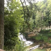 Review photo of Old Mill Camp and General Store by David R., July 29, 2019