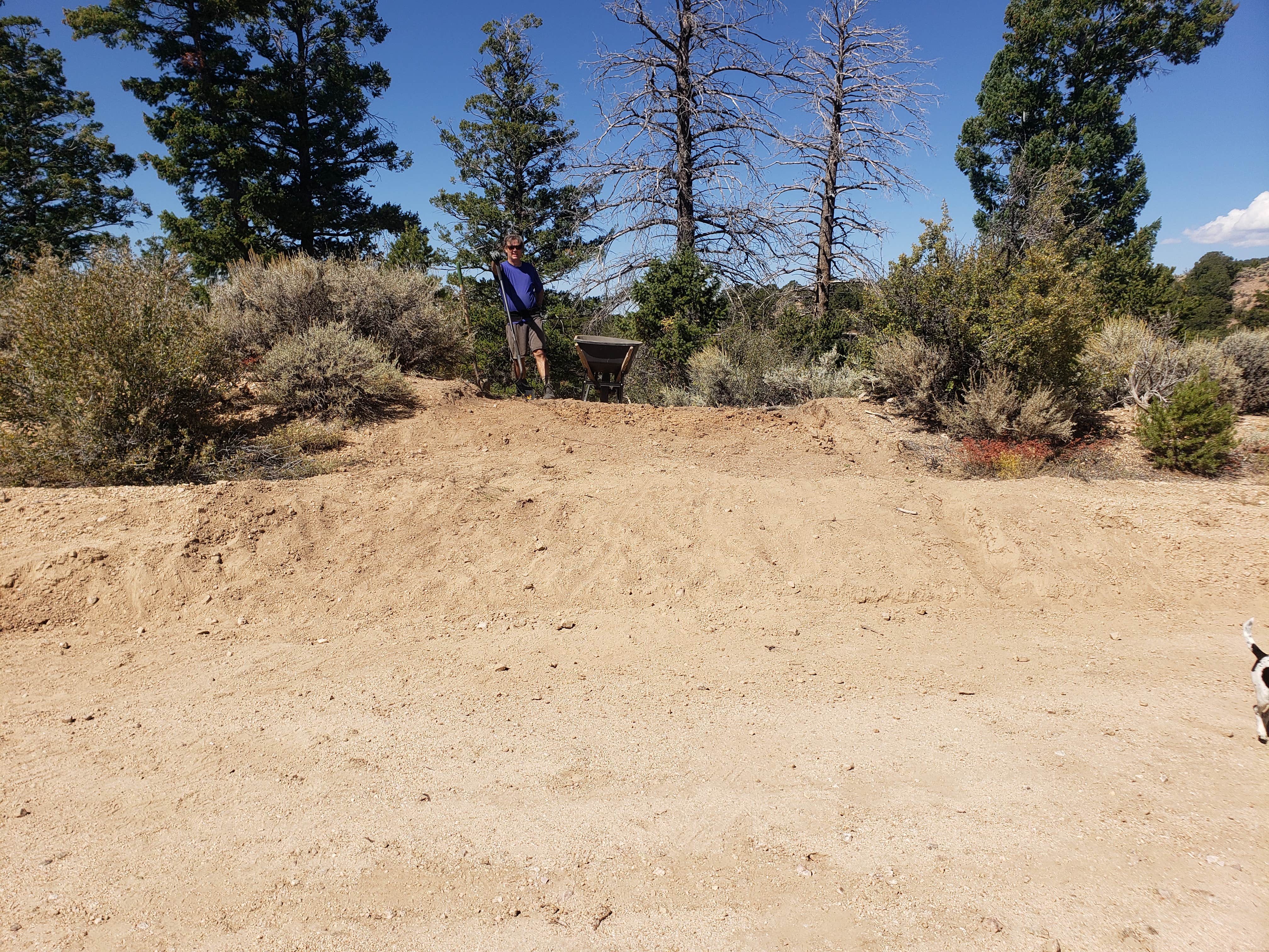 Russ D.'s photo of camping with pets at Sangre de Cristo Mountain RV Escape near San Luis, CO