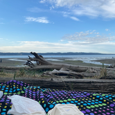 Review photo of Dash Point State Park Campground by Saraj B., June 27, 2025