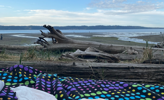 Saraj B.'s photo of glamping accommodations at Dash Point State Park Campground near Union, WA