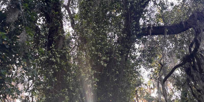 Camper submitted image from Page Compound