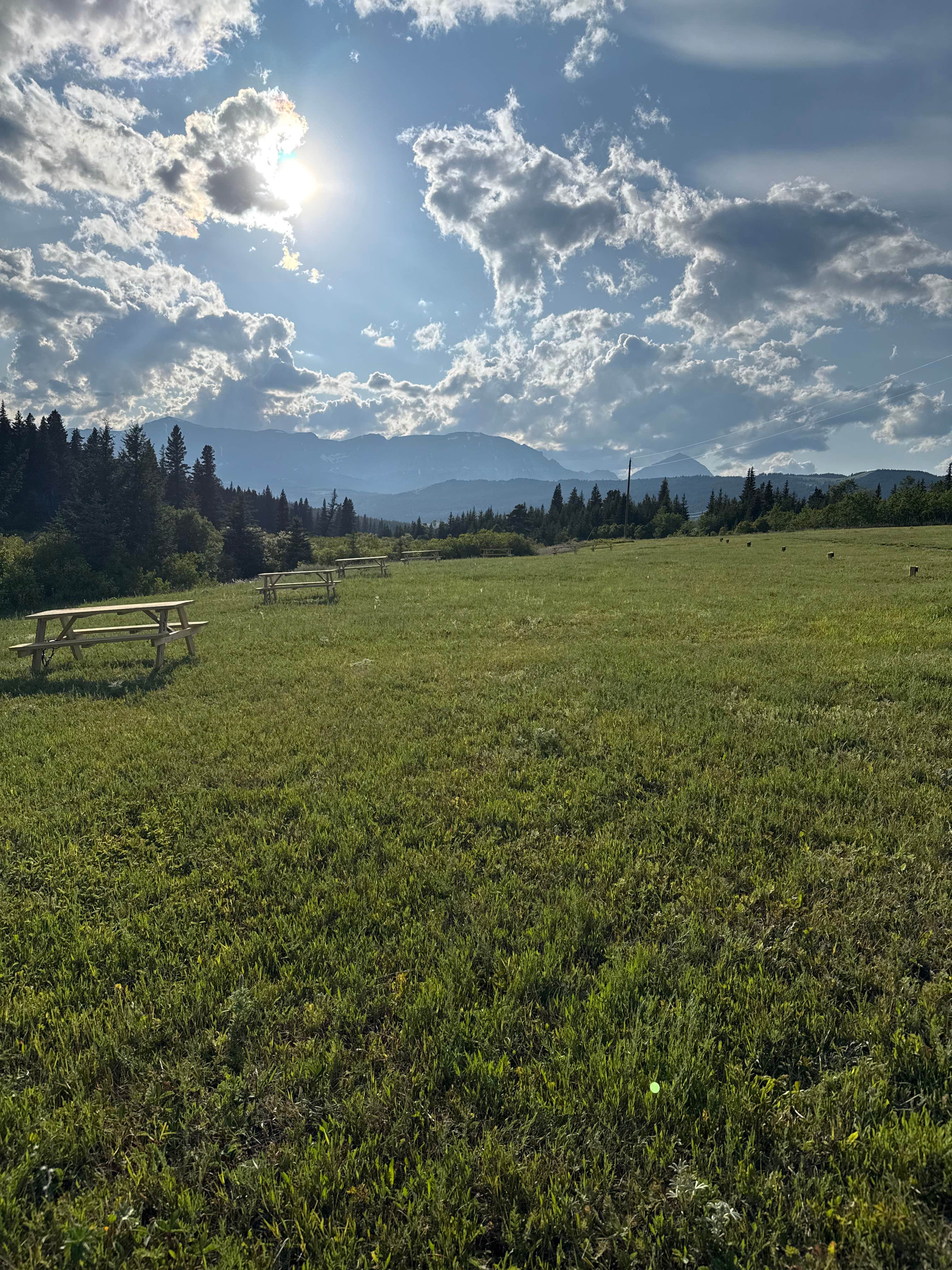 Camping near Two Medicine Campground — Glacier National Park: SweetPine Campground, Browning, Montana