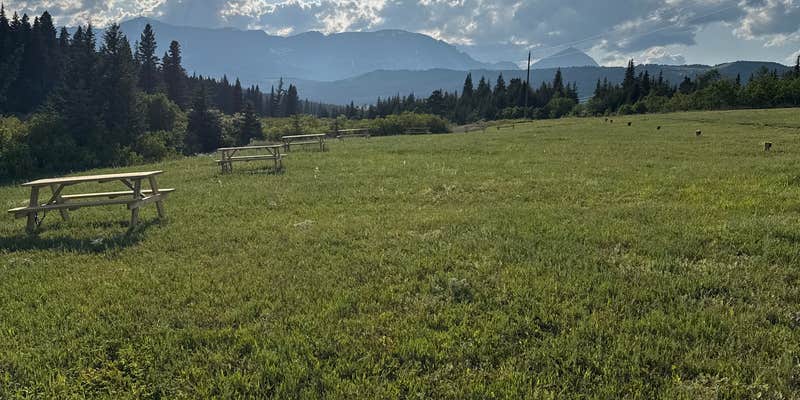 Camper submitted image from SweetPine Campground