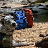 Review photo of Honey Bear Campground by Steve V., July 28, 2019