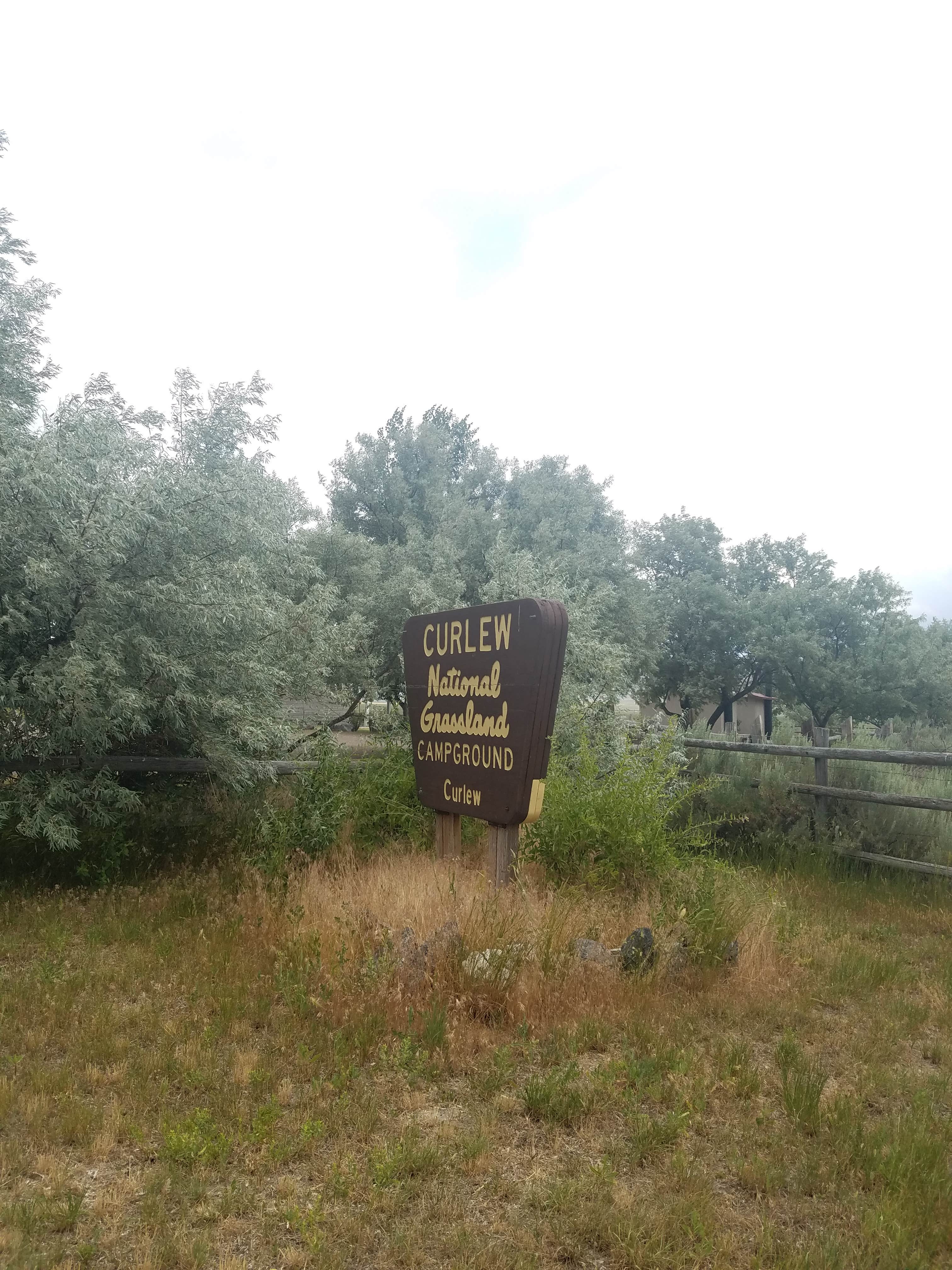 Camper submitted image from Lake Cascade/Curlew Campground - 3