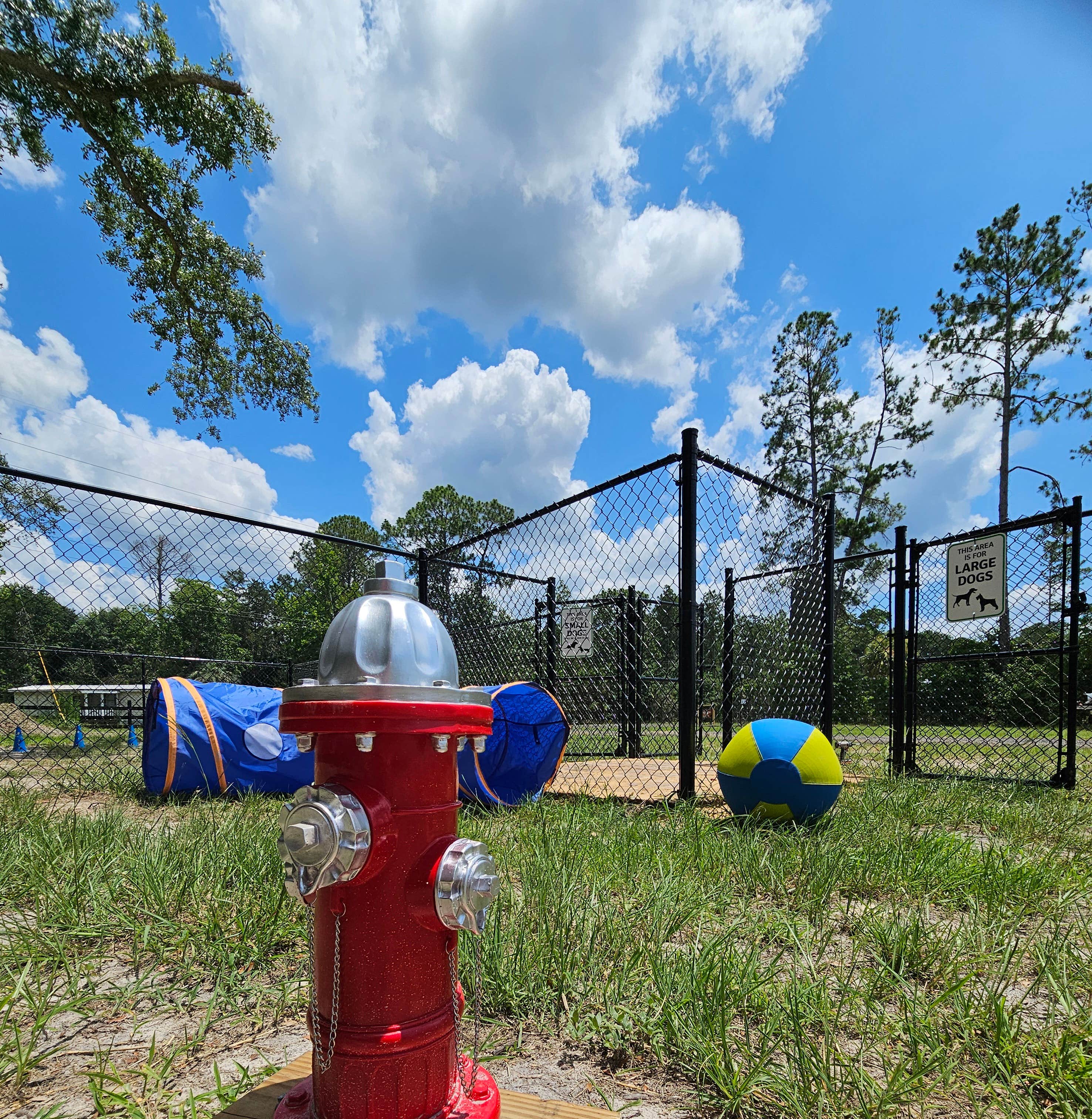 Camper-submitted photo at Lakeside at Whispering Pines RV Resort near Waycross, GA