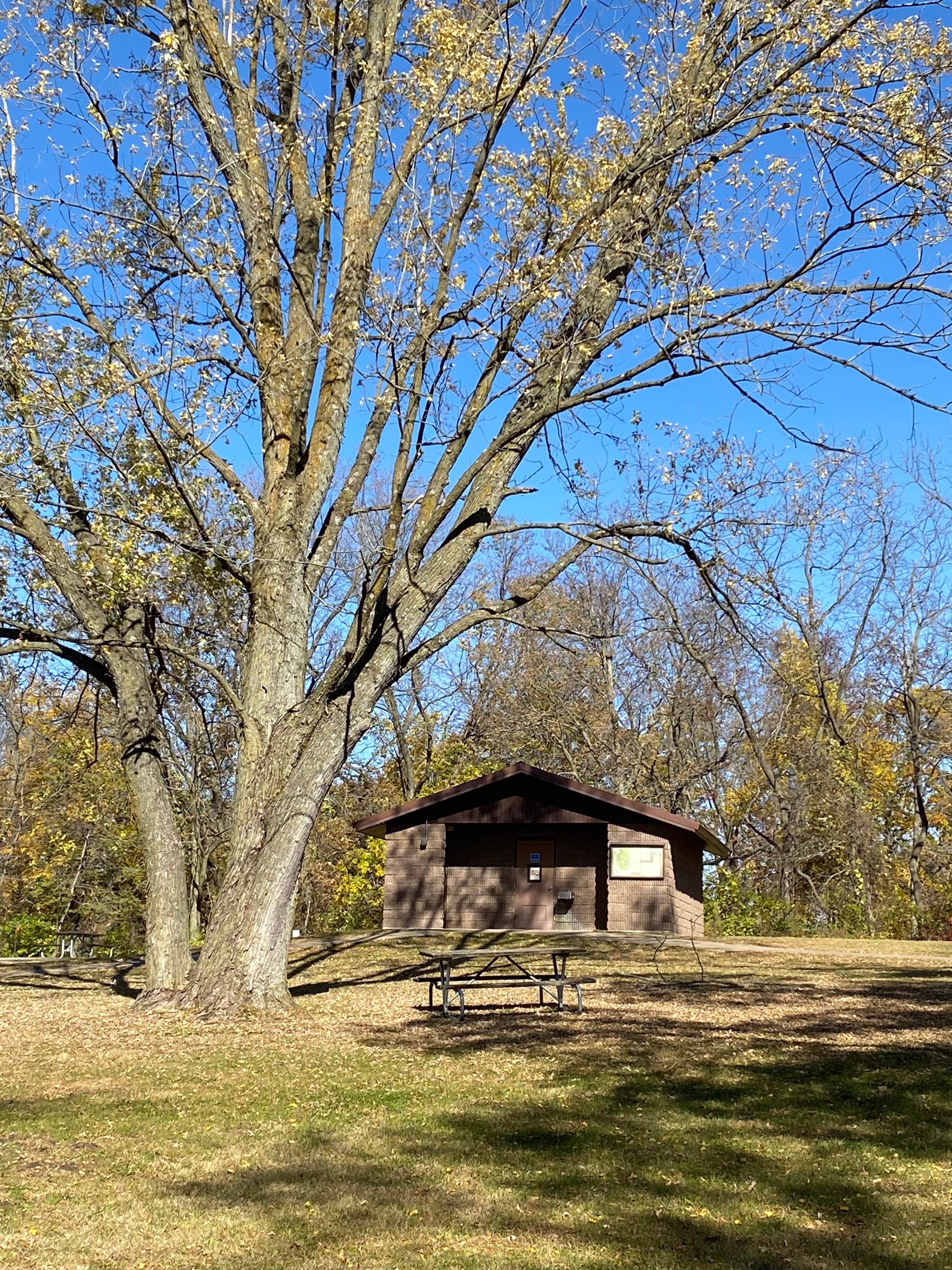 Stuart K.'s photo of glamping accommodations at Wilderness Campground, Scott County Park near West Liberty, IA
