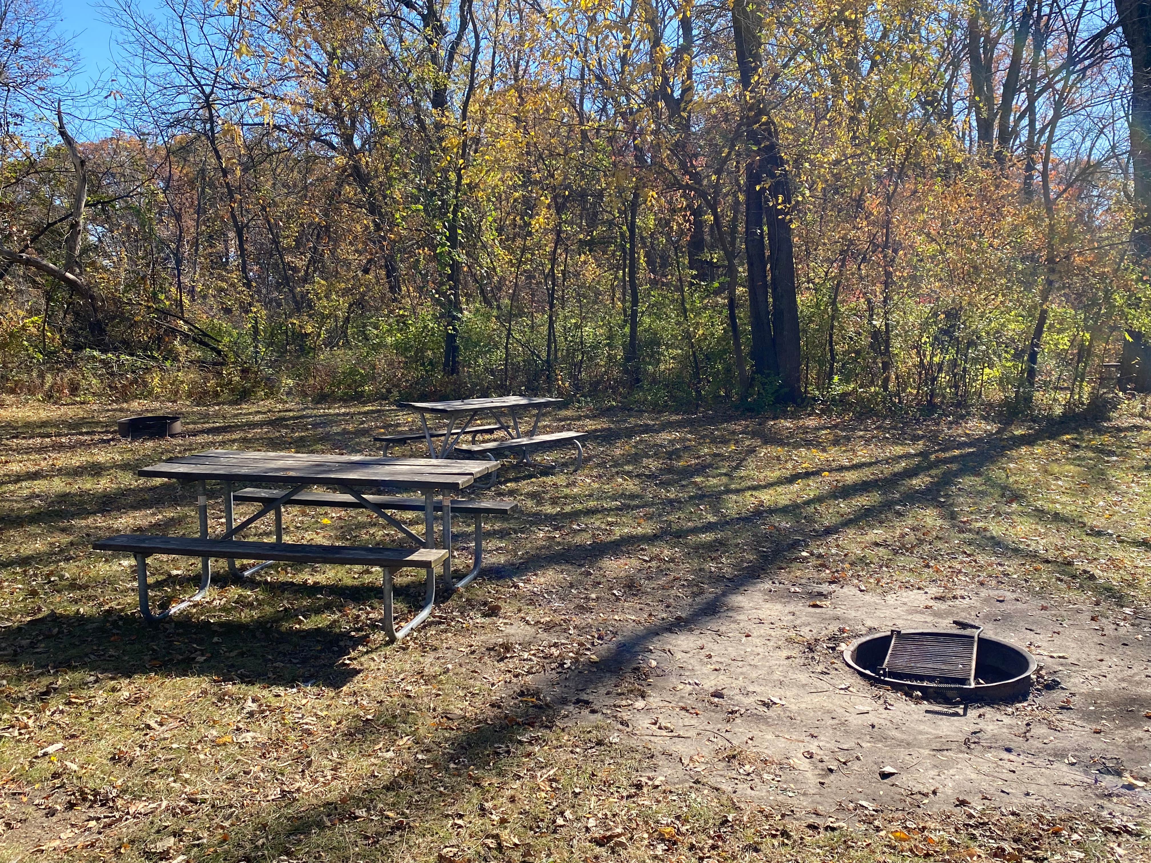 Camper-submitted photo at Wilderness Campground, Scott County Park near West Liberty, IA