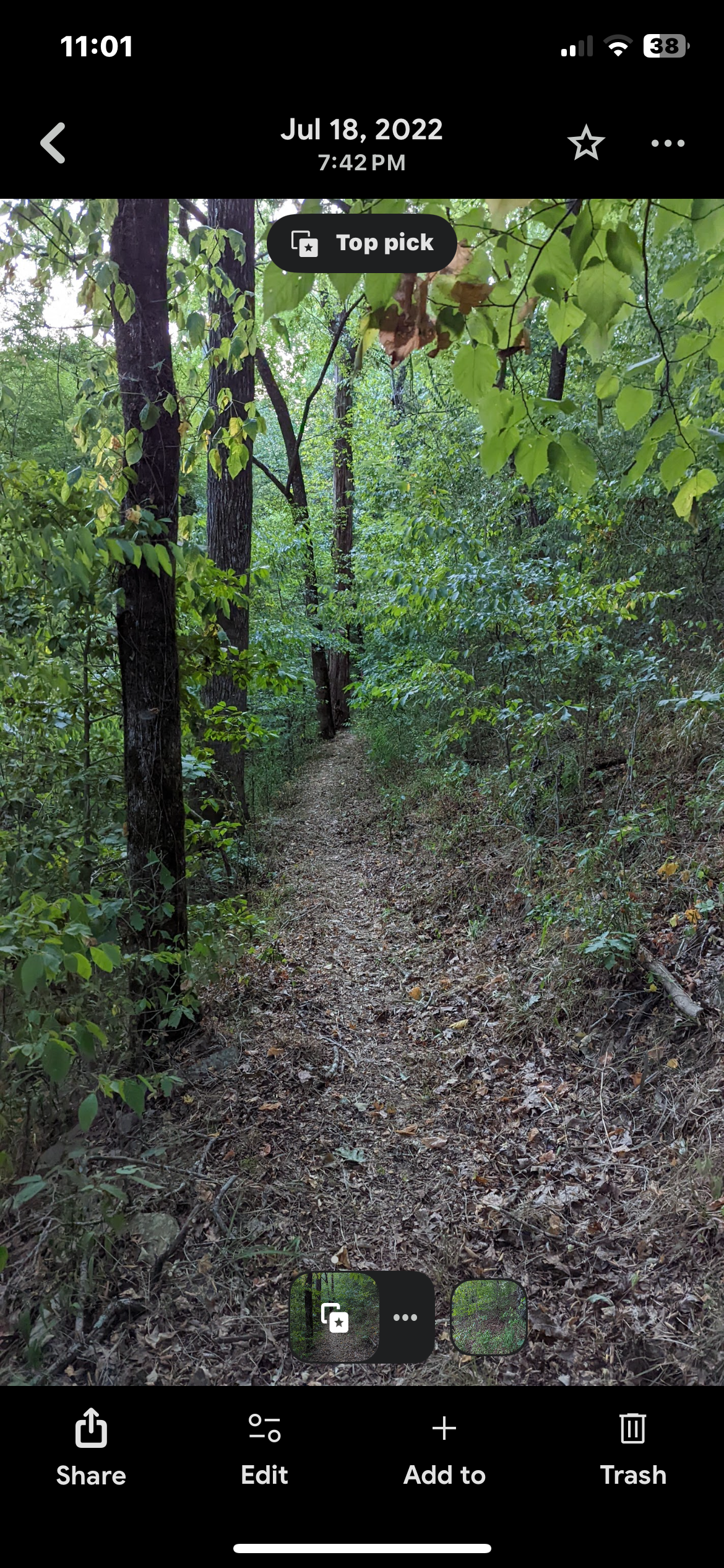 Camper submitted image from Pioneer Campgrounds - 2