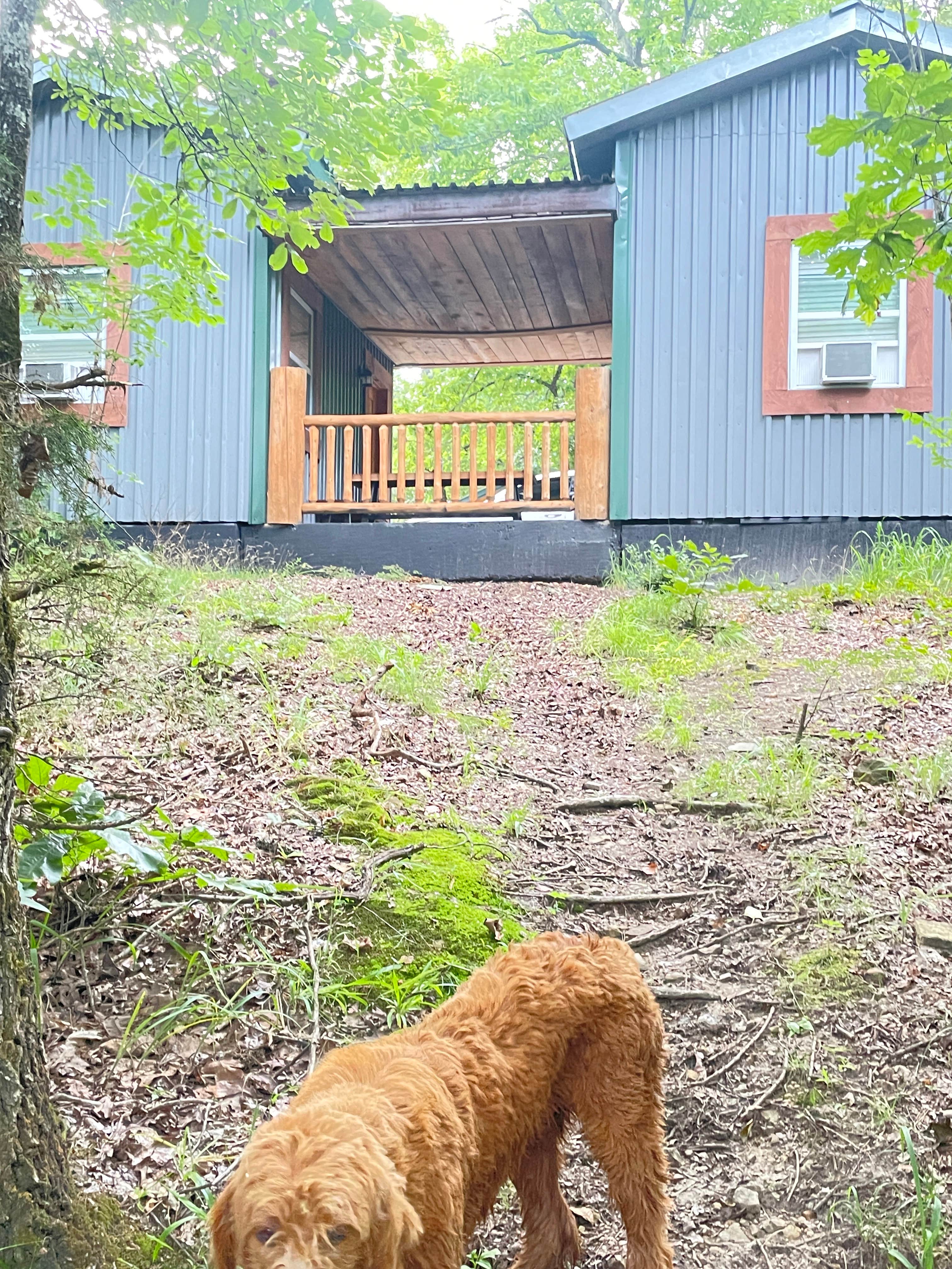 Camper-submitted photo at Pioneer Campgrounds near Vandervoort, AR