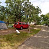 Review photo of Icelandic State Park Campground by Denis P., June 28, 2025