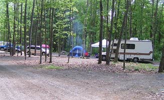 The Dyrt's photo at Lake Heron Retreat near Dornsife, PA
