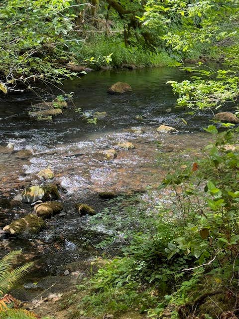 Camper submitted image from Creekside Retreat at Triangle Lake - 4