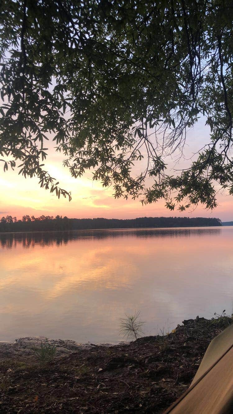 Escape to Tranquility: Georgia's Raysville Bridge Camp Area