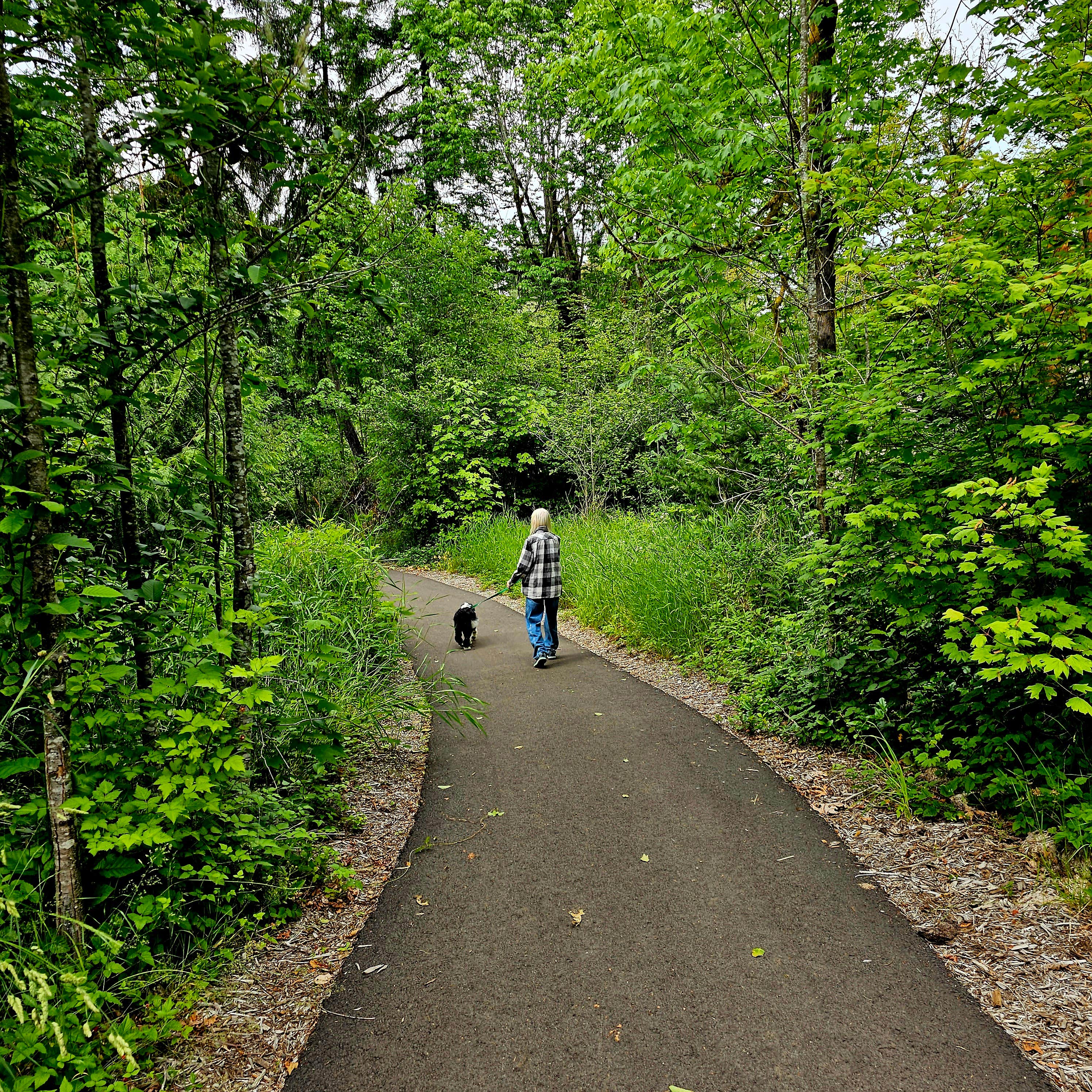 Doug's photo of camping with pets at Schafer State Park Campground near Shelton, WA