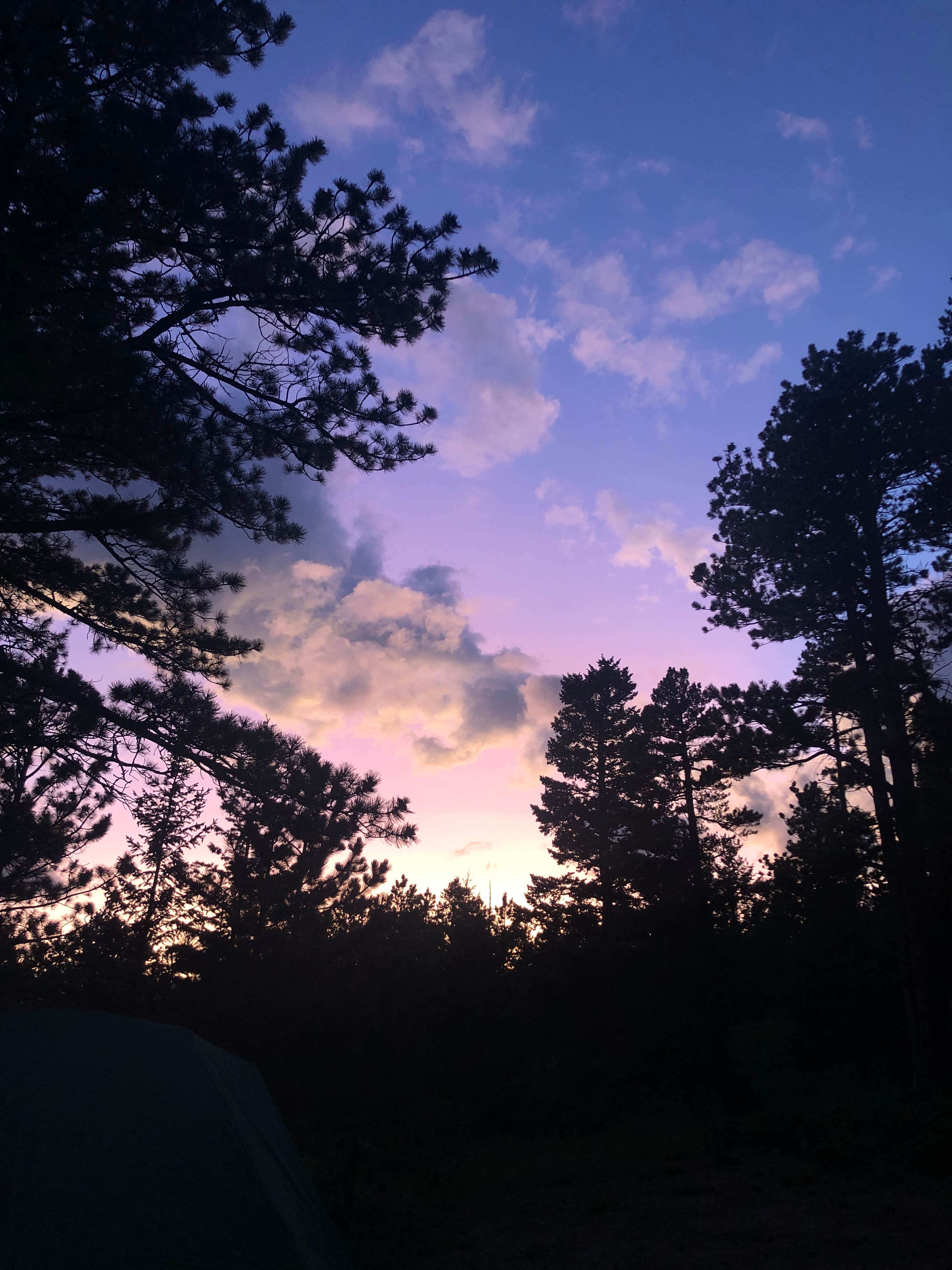 Morgan E.'s photo of a dispersed camping area at Gordon Gulch Dispersed Area near Centennial, CO