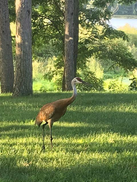 Camper-submitted photo at Ox Creek Campground near Coloma, WI