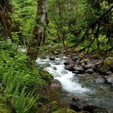 Review photo of Lower Falls Campground by Rich M., July 29, 2019