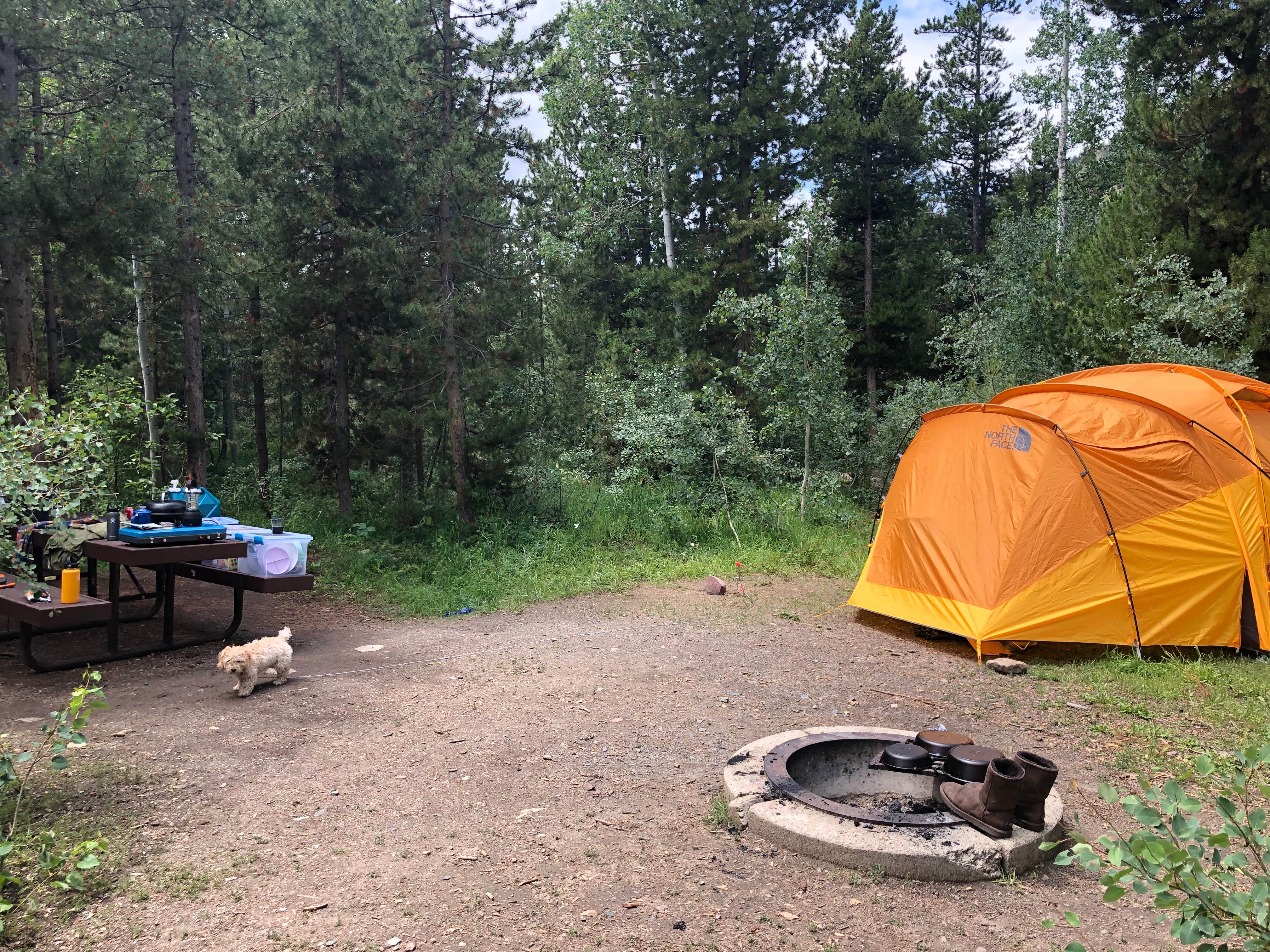 Camper submitted image from Shady Dell Campground — Uinta Wasatch Cache National Forest - 3