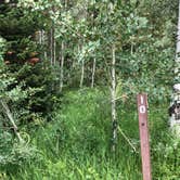 Review photo of Shady Dell Campground — Uinta Wasatch Cache National Forest by Joseph W., July 29, 2019