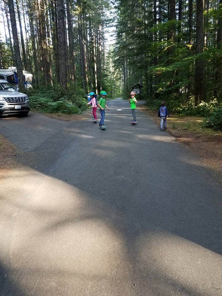 Camper submitted image from Skokomish Park at Lake Cushman - 5