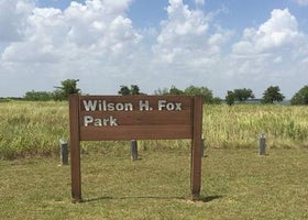 Wilson H Fox