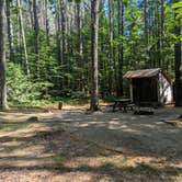 Review photo of Bradbury Mountain State Park Campground by Alyson D., June 30, 2025
