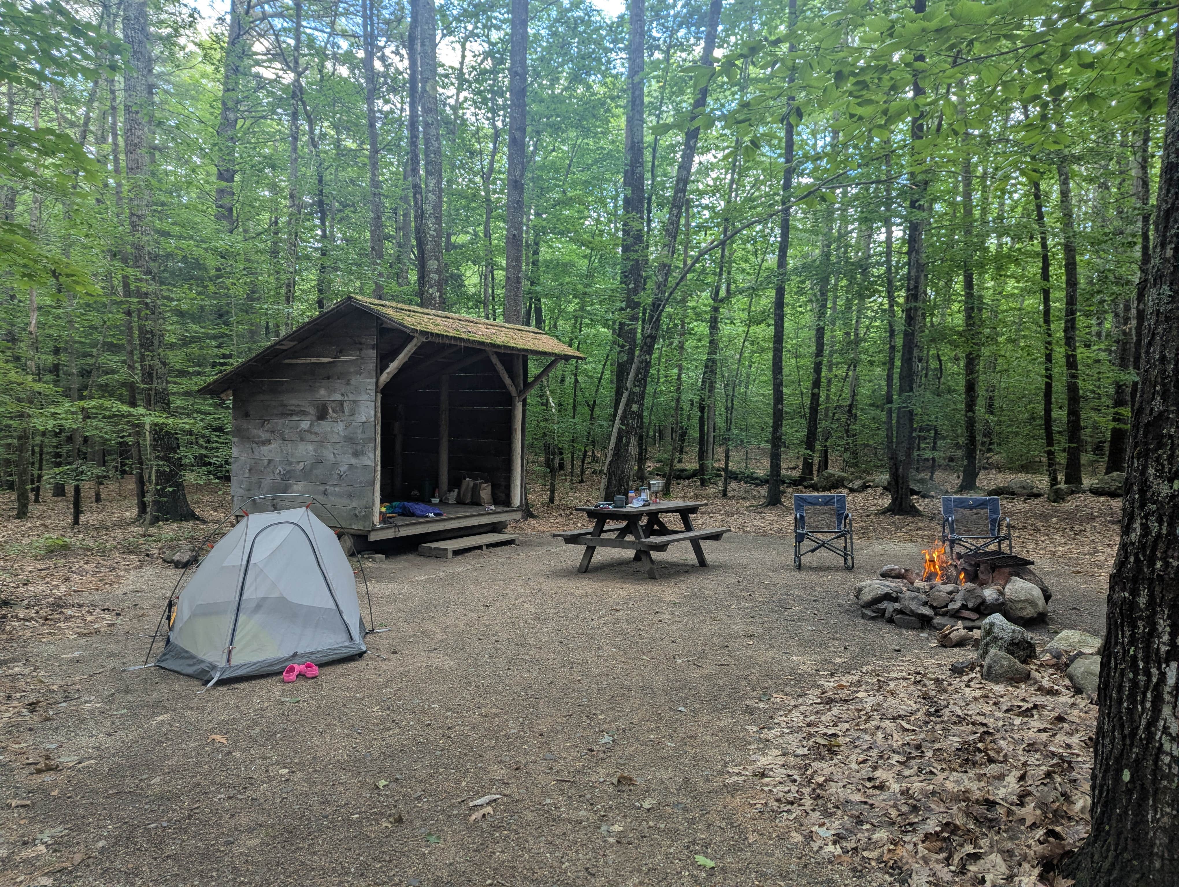 Alyson D.'s photo at Bradbury Mountain State Park Campground near Durham, ME