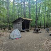 Review photo of Bradbury Mountain State Park Campground by Alyson D., June 30, 2025