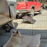Review photo of Heart Bar Campground by Mike M., June 30, 2025