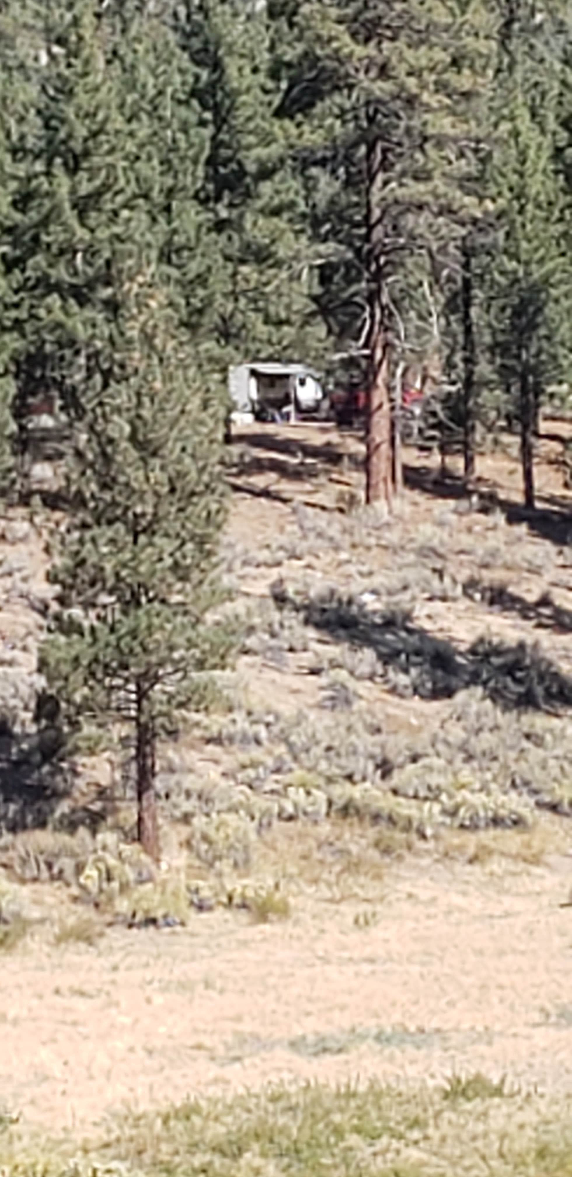 Mike M.'s photo at Heart Bar Campground near Johnson Valley, CA