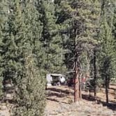 Review photo of Heart Bar Campground by Mike M., June 30, 2025