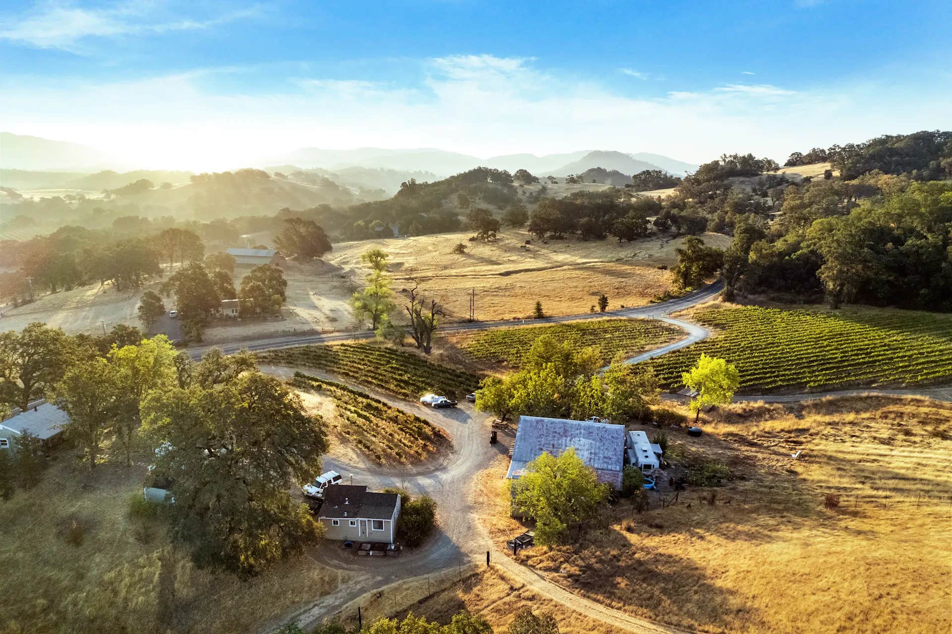 Camper submitted image from Duncan Peak Vineyards - 1