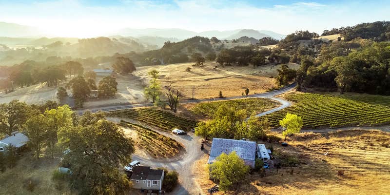 Camper submitted image from Duncan Peak Vineyards