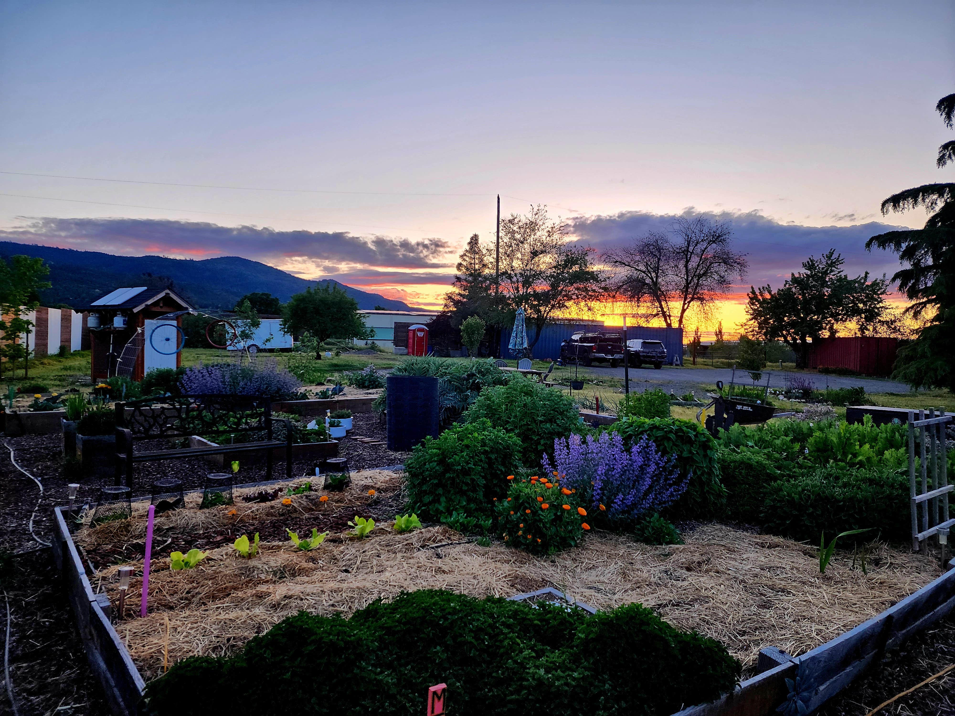 Camper submitted image from Good Karma Van Camp - 2